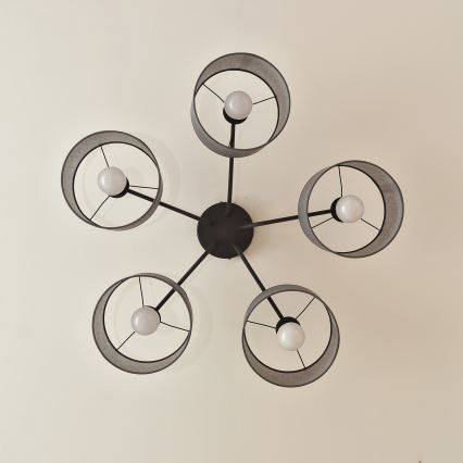 Lámpara de techo de superficie ALBA 5xE27/15W/230V gris