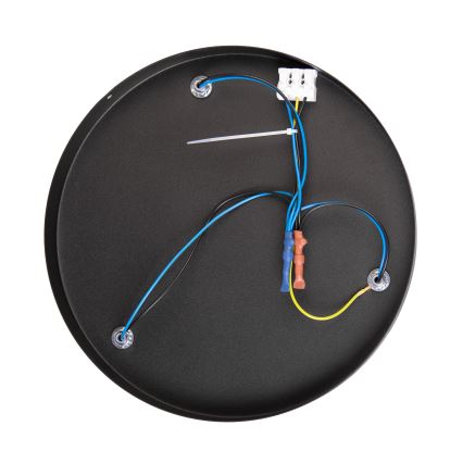 Lámpara de techo de superficie MOONLIGHT 3xE27/15W/230V negra