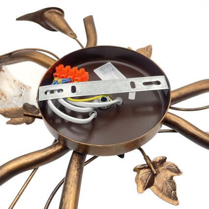 Lámpara de techo de superficie ROZETA 3xE14/40W/230V bronce