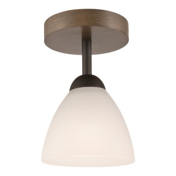 Lámpara de techo empotrada ADRIANO 1xE27/60W/230V haya