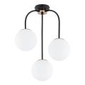 Lámpara de techo GAMMA 3xE14/10W/230V negro/dorado
