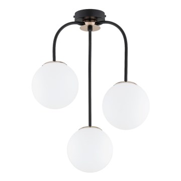 Lámpara de techo GAMMA 3xE14/10W/230V negro/dorado