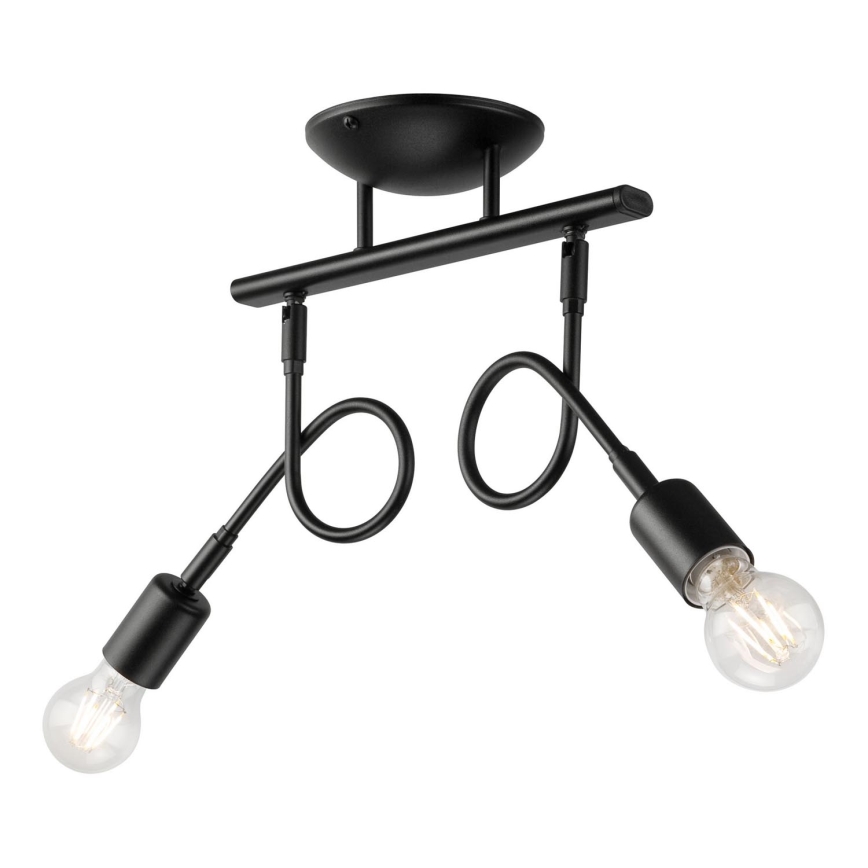 Lámpara de techo HARRY 2xE27/60W/230V