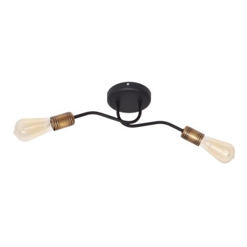 Lámpara de techo HARVARD 2xE27/15W/230V