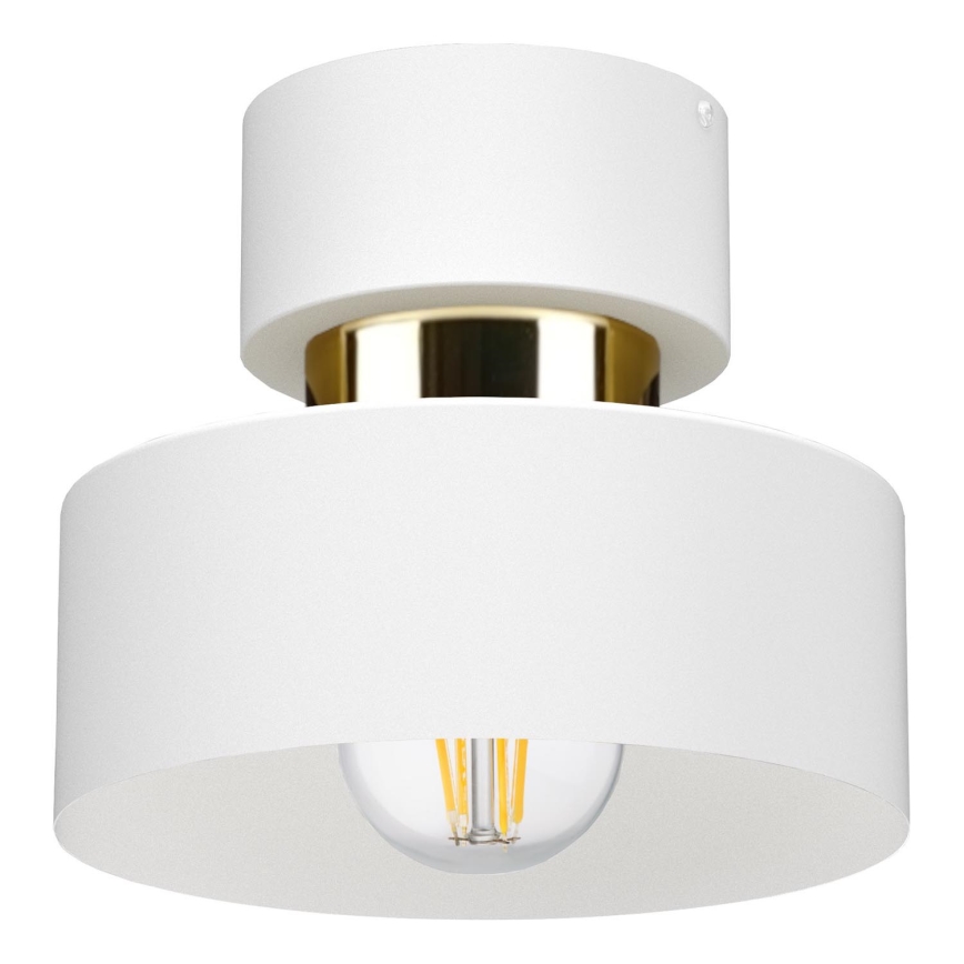 Lámpara de techo IGNIA 1xE27/60W/230V blanca