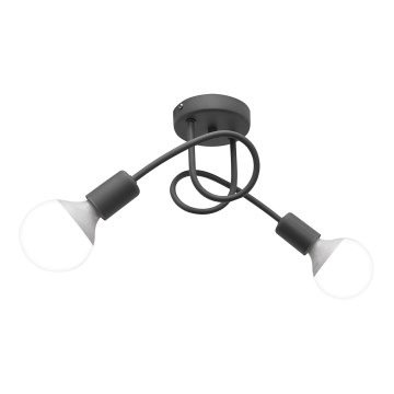 Lámpara de techo infantil OXFORD 2xE27/15W/230V gris