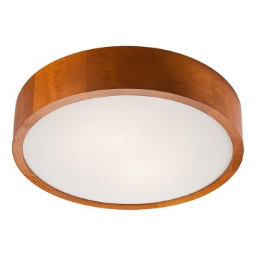 Lámpara de techo LED 1xLED/24W/230V pino