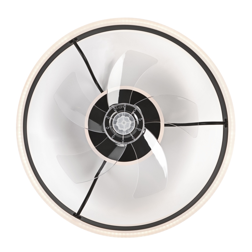 Lámpara de techo LED regulable con ventilador APOLLO LED/38W/230V negra + mando a distancia