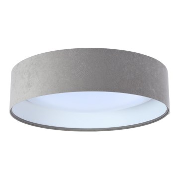 Lámpara de techo LED GALAXY 1xLED/24W/230V Ø 44 cm gris/blanco