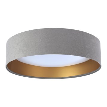 Lámpara de techo LED GALAXY 1xLED/24W/230V Ø 44 cm gris/dorado