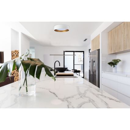 Lámpara de techo LED GALAXY 24 W/230 V, Ø 44 cm, blanco/dorado