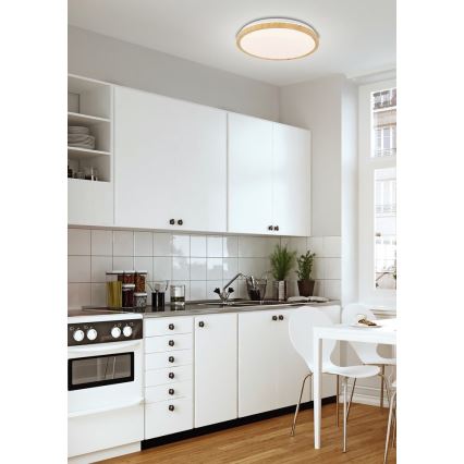 Lámpara de techo LED GANDAVA LED/24W/230V