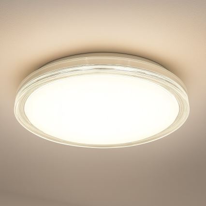 Lámpara de techo LED LAGO LED/36W/230V Ø 48 cm