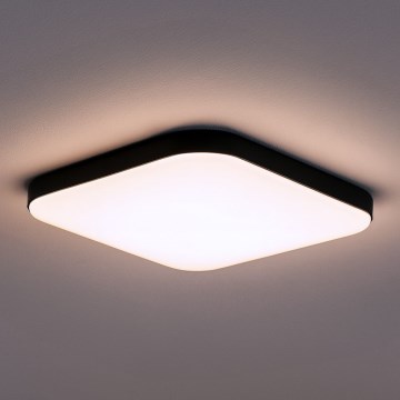 Lámpara de techo LED NEMO LED/36W/230V 50x50 cm negra