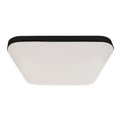 Lámpara de techo LED NEMO LED/36W/230V 50x50 cm negra