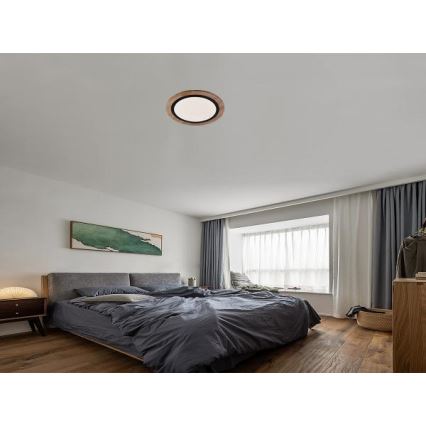 Lámpara de techo LED regulable 25W/230V, temperatura de color 3000–6500K, con mando a distancia