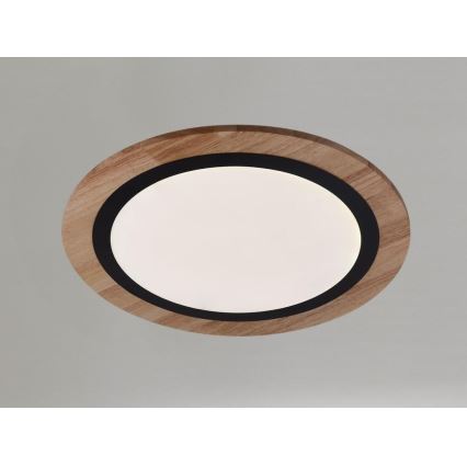 Lámpara de techo LED regulable 25W/230V, temperatura de color 3000–6500K, con mando a distancia