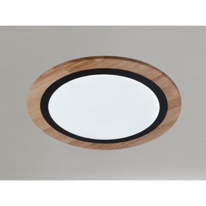 Lámpara de techo LED regulable 25W/230V, temperatura de color 3000–6500K, con mando a distancia