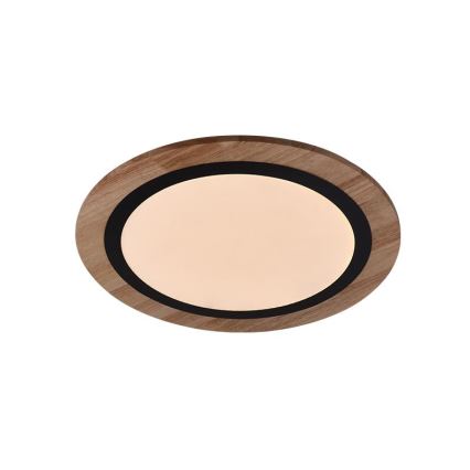 Lámpara de techo LED regulable 25W/230V, temperatura de color 3000–6500K, con mando a distancia