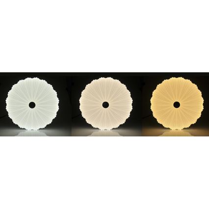 Lámpara de techo LED regulable FLOWER LED/36W/230V + mando a distancia