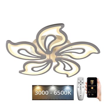 Lámpara de techo LED regulable LED/125W/230V 3000-6500K con mando a distancia