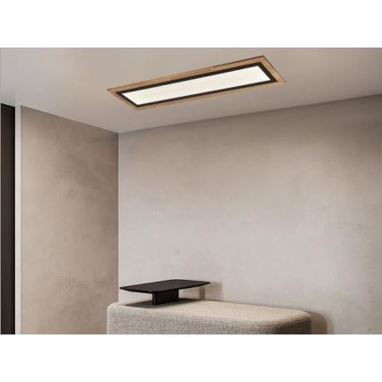Lámpara de techo LED regulable LED/55W/230V 3000-6500K + control remoto