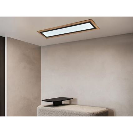 Lámpara de techo LED regulable LED/55W/230V 3000-6500K + control remoto