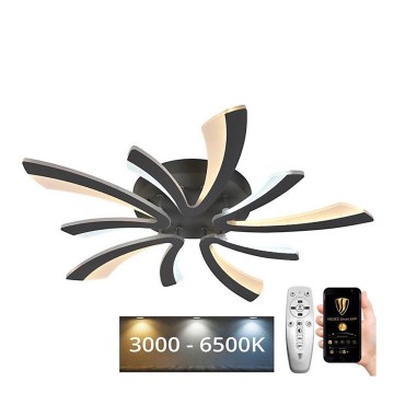 Lámpara de techo LED regulable LED/55W/230V 3000-6500K + mando a distancia