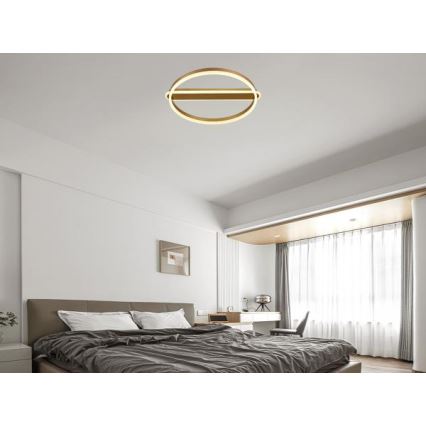 Lámpara de techo LED regulable LED/60W/230V 3000-6500K + mando a distancia