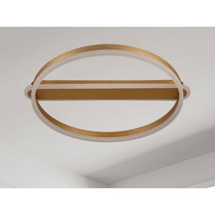 Lámpara de techo LED regulable LED/60W/230V 3000-6500K + mando a distancia