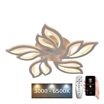 Lámpara de techo LED regulable LED/65W/230V 3000-6500K con mando a distancia