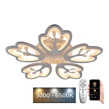 Lámpara de techo LED regulable LED/80W/230V 3000-6500K + mando a distancia