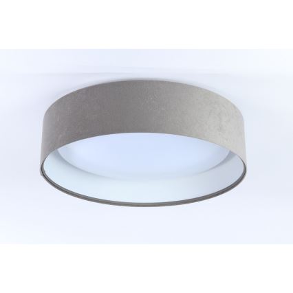 Lámpara de techo LED regulable SMART GALAXY LED/24W/230V diámetro 44 cm gris/blanco 3000-6500K + mando a distancia