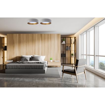 Lámpara de techo LED regulable SMART GALAXY LED/24W/230V diámetro 44 cm gris/dorado 3000-6500K + mando a distancia