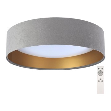 Lámpara de techo LED regulable SMART GALAXY LED/24W/230V diámetro 44 cm gris/dorado 3000-6500K + mando a distancia