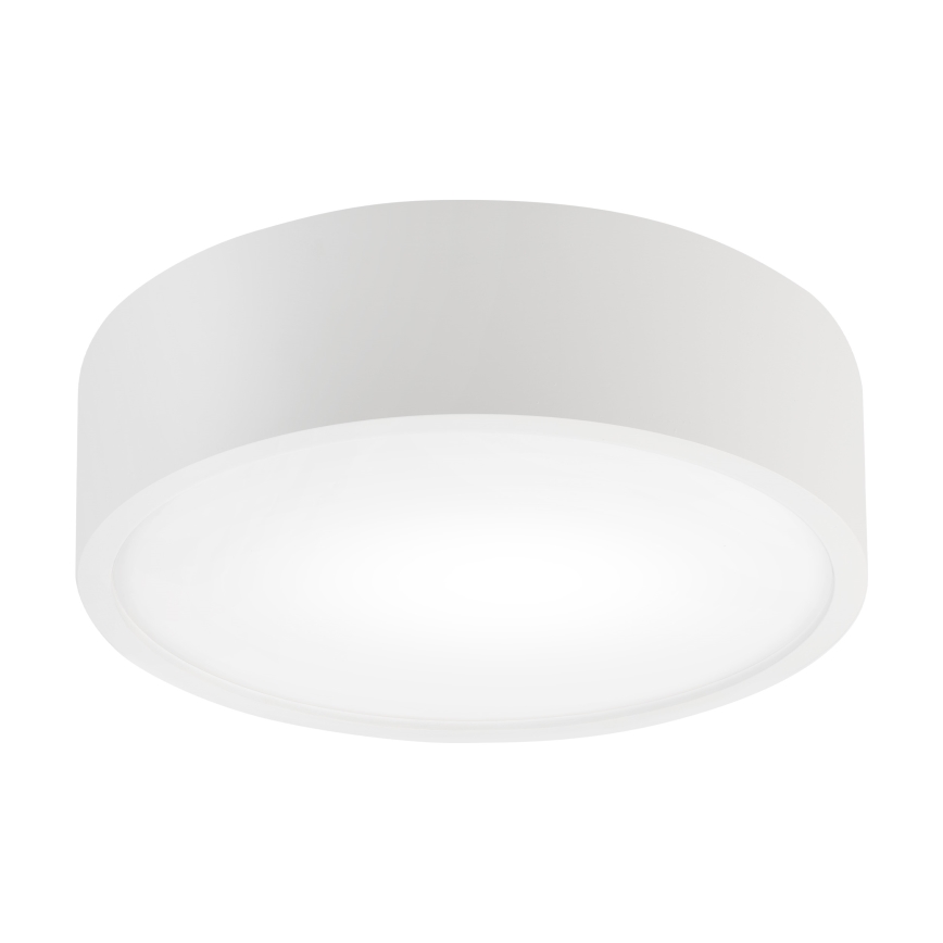 Lámpara de techo NATURAL 1xE27/15W/230V Ø 27,5 cm pino/blanco