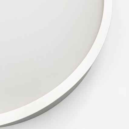 Lámpara de techo NATURAL 1xE27/15W/230V Ø 27,5 cm pino/blanco