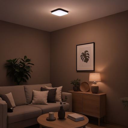 Lámpara de techo NEMO LED/11W/230V 26x26 cm negra