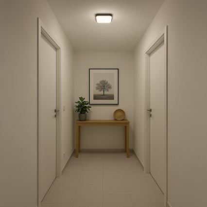 Lámpara de techo NEMO LED/11W/230V 26x26 cm negra