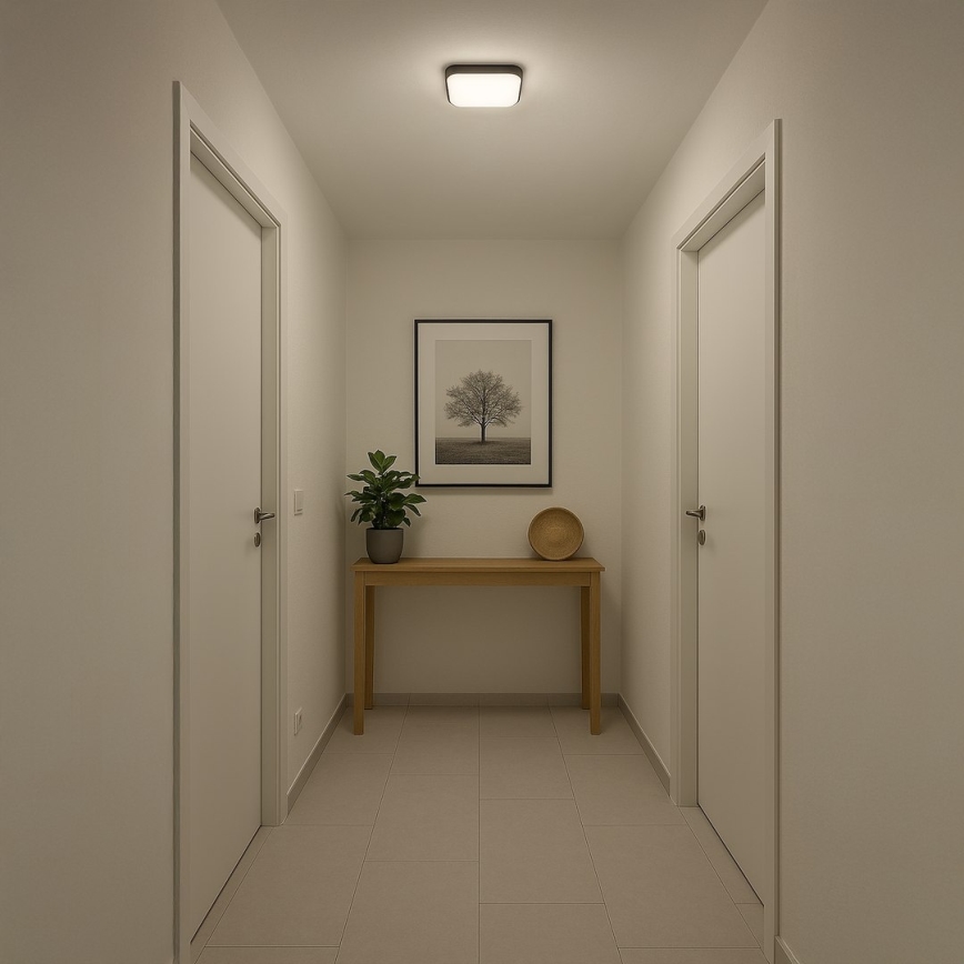 Lámpara de techo NEMO LED/11W/230V 26x26 cm negra