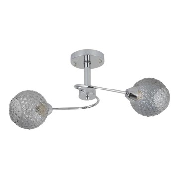 Lámpara de techo OAKLAND 2xE27/60W/230V
