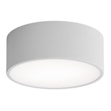 Lámpara de techo para baño con sensor CLEO 1xE27/24W/230V Ø 20 cm IP54 gris