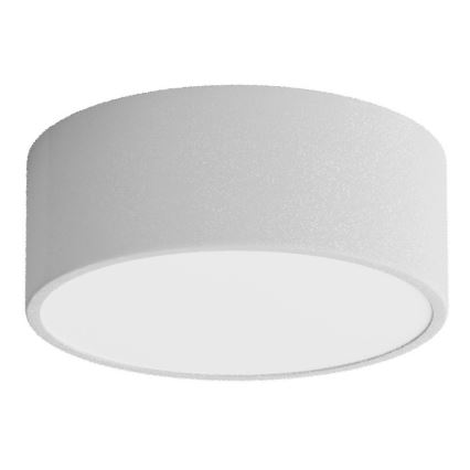 Lámpara de techo para baño con sensor CLEO 1xE27/24W/230V Ø 20 cm IP54 gris