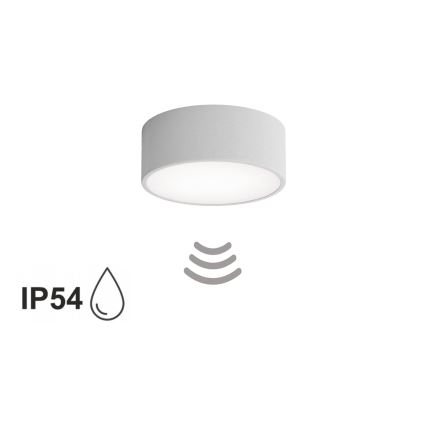 Lámpara de techo para baño con sensor CLEO 1xE27/24W/230V Ø 20 cm IP54 gris