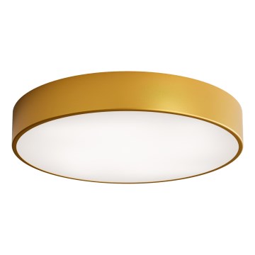 Lámpara de techo para baño con sensor CLEO 4xE27/24W/230V, diámetro 50 cm, IP54, acabado dorado