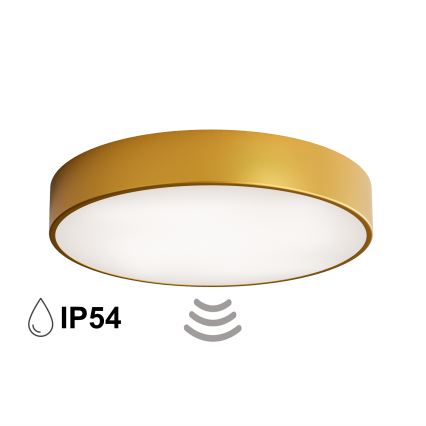 Lámpara de techo para baño con sensor CLEO 4xE27/24W/230V, diámetro 50 cm, IP54, acabado dorado