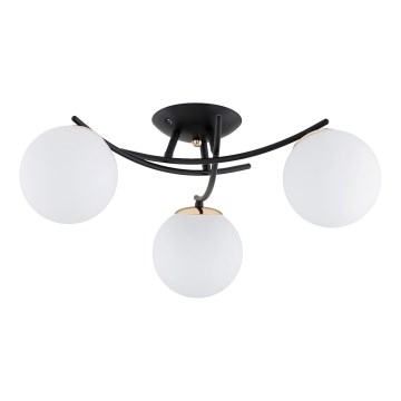 Lámpara de techo SAVI 3xE14/10W/230V negro/dorado