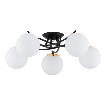 Lámpara de techo SAVI 5xE14/10W/230V negro/dorado