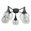 Lámpara de techo STAR 5xE27/60W/230V negro/transparente