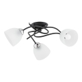 Lámpara de techo VERWIL 3xE27/15W/230V negro
